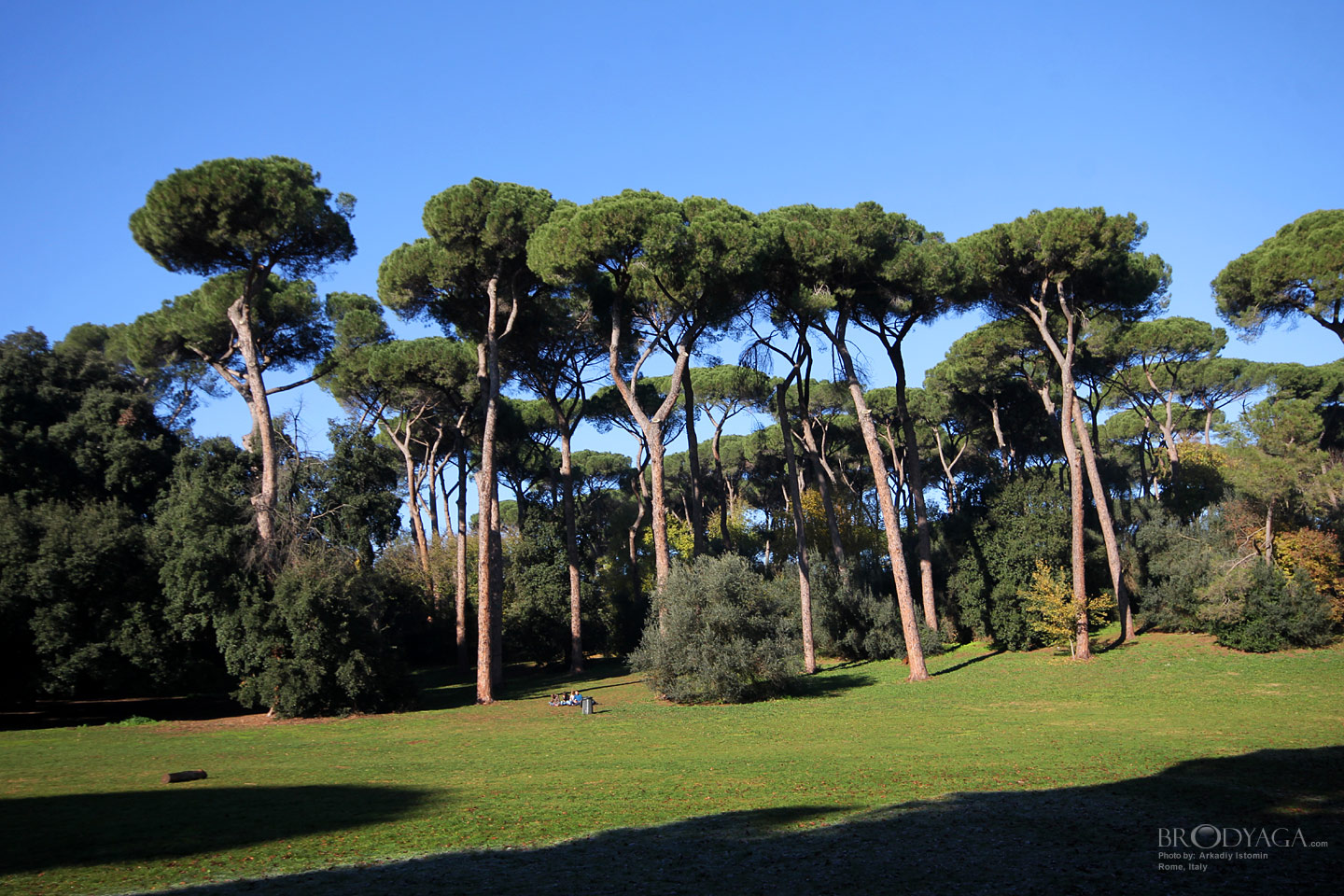Villa Ada, Rome